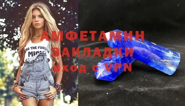 индика Балахна