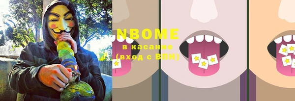 индика Балахна