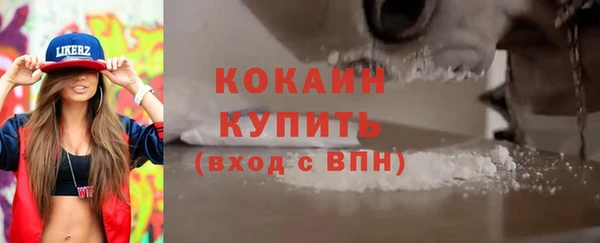 индика Балахна