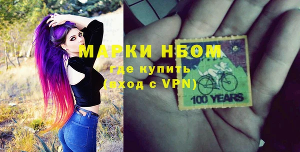 индика Балахна