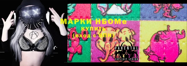 индика Балахна