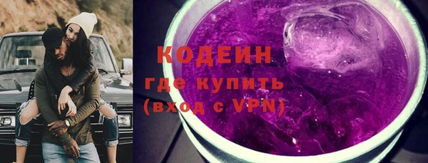 индика Балахна