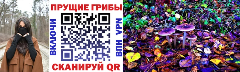 Галлюциногенные грибы GOLDEN TEACHER  как найти закладки  Питкяранта 