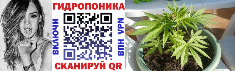 МЕГА ссылки  цены наркотик  Питкяранта  Бошки Шишки семена 